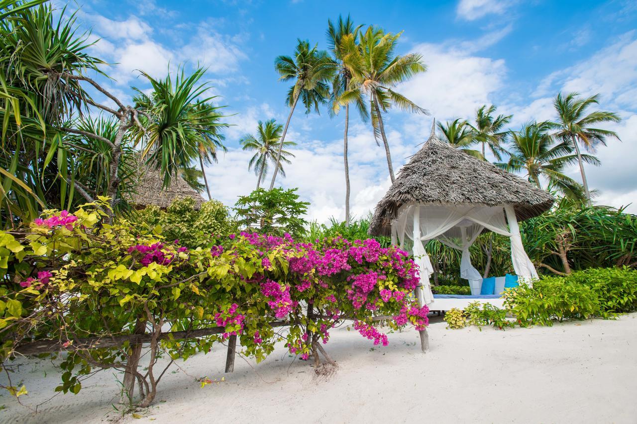Zanzibar Queen Hotel マテムウェ エクステリア 写真